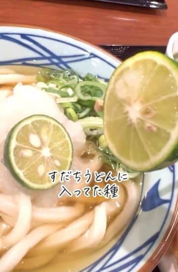 丸亀製麺で食べた“すだち”の種を育ててみたら…家庭菜園好き主婦の挑戦に「凄すぎて笑った」「種愛ハンパない！」
