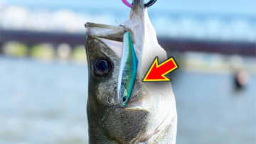 「全身全霊でオススメです」デイゲームもナイトゲームも。この2つのルアーを使い分けてみてください。