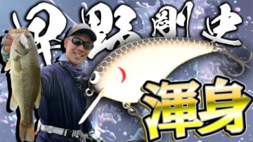 【アクション動画】知ってる人はコッソリ使ってる⁉早野剛史プロ渾身のクランクベイトたち