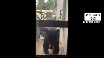 「足跡を見たらその場を離れる」文科省がクマ侵入での“対策マニュアル”を全国の教育委員会に通知へ　早ければ10月中に