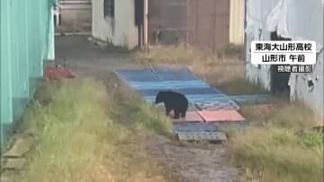 山形市の東海大山形高校の敷地内でクマ目撃　グラウンド近くを歩いたり、室内練習場のネットよじ登る　29日の外の授業は中止