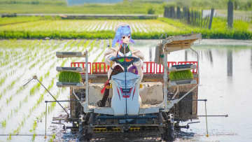 農業VTuberユニットPeaky Hikers、新米6.3トンを収穫／販売　お茶碗83000杯分