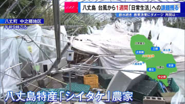 台風から1週間…八丈島「日常生活」に課題　断水続き農業漁業にダメージ