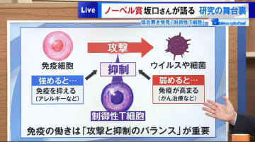 ノーベル賞受賞の快挙！ 坂口志文氏が語る“制御性T細胞”発見から苦節の時期を乗り越え成就した研究の舞台裏