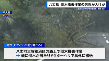 八丈島で倒木撤去作業中の男性が大けが　学校再開も…断水続く