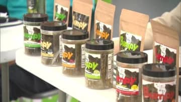 漁業者を悩ませる“色落ちノリ”が新商品に変身 黒くならない養殖ノリに命を吹き込んだ独自の加工技術とアイデア