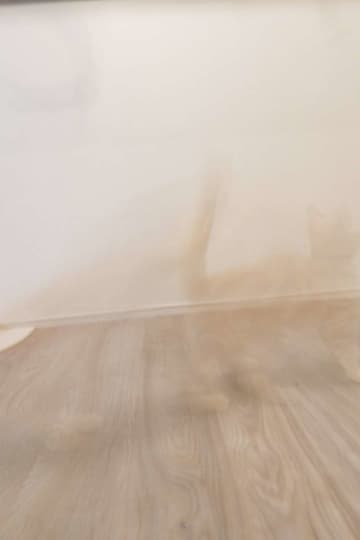 かわいい子猫を撮影→衝撃の仕上がりに2.9万人驚がく　「光学迷彩！？」「心霊現象」