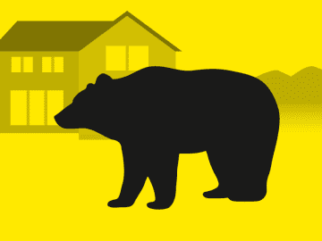 福井のこども園近くに親子クマ　勝山市、緊急銃猟で駆除