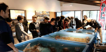 【生け簀から選べる】京都・丹後で究極のカニフルコース体験！活ガニを刺身・焼き・鍋で堪能する「カニマルシェプラン」が今年も開催決定！