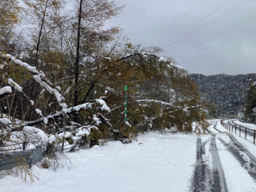 【旭川紋別道】上川管内で緊急作業 通行止め解除には時間がかかる見込み（29日20:00現在）
