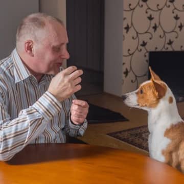 犬は『赤ちゃん言葉』と『通常トーン』どっちを好むの？反応が異なる理由から興味深い研究結果まで