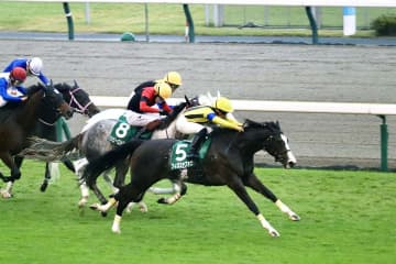 安藤勝己氏、注目の2歳馬フィロステファニを絶賛　「阪神JF、桜花賞まで主役級」