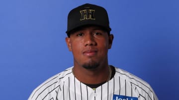 【阪神】アルナエスと来季も育成契約を継続　パナマ開催のトライアウトを経て入団　初年度はファームで1HR含む打率.197