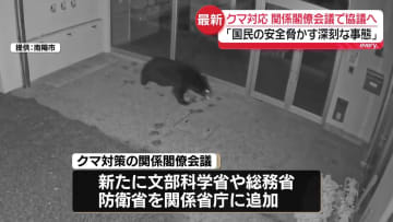 クマ被害　連絡会議を関係閣僚会議に格上げ　あす対応協議