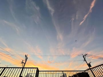 父との思い出話も、私の幼い頃の記憶も、もう共有できないのだ【突然、母が別人になった】