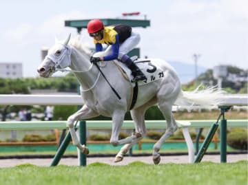 武豊　【“日本最強馬”は永久に凱旋門賞で勝てないのか】　天才ジョッキーの裏話