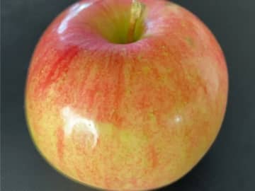 冷蔵庫に入れただけで？　リンゴの甘さに「マジで？」「今すぐやる」【保存のコツ4選】