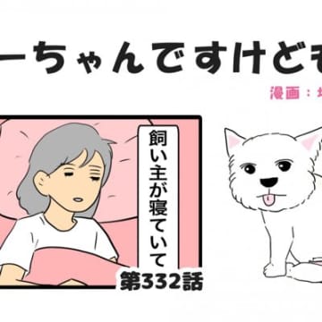 ちーちゃんですけどもっ【第332話】「何故そこで見ていたのか」
