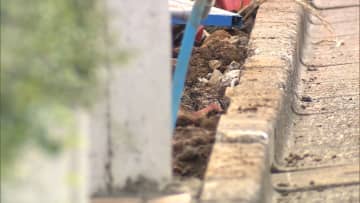 「赤ちゃんの遺体らしきものが…」解体工事現場から20～30cmの“乳児”遺体見つかる　衣服なく浄化槽の中に　東京・渋谷区