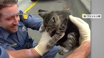 NY地下鉄のホーム下から子犬を救出！ペットホテルから脱出し迷子に…高速道路では子ネコ救出　アメリカ