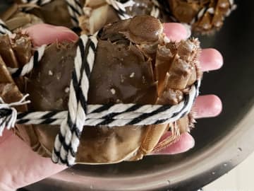 車内の悪臭にうんざりして修理に持ち込む、原因は2年前に「行方不明」のカニ2匹―中国