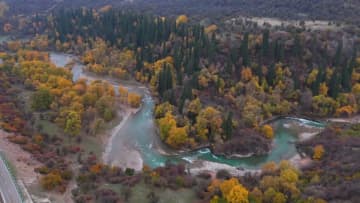 秋色に染まる果樹林　中国・新疆新源県
