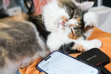 スマホの写真バックアップを外付けストレージから別の外付けストレージに複製する