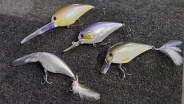 【マグナムクランキングの秋、到来】2メートルレンジを巻いて浮かせて食わす！「朝の気温が1桁、これがキーです」