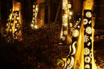 紅葉と灯りが織りなす秋の夜　幕張「見浜園灯ろうまつり」で感じる幻想的なひととき