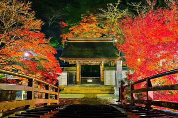 【2025】奈良の紅葉名所13選！見頃やライトアップ情報まとめ