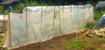 労働、それは退屈せず陽気に人生を過ごす方法／自給自足を夢見て脱サラ農家40年（75）【千葉県八街市】