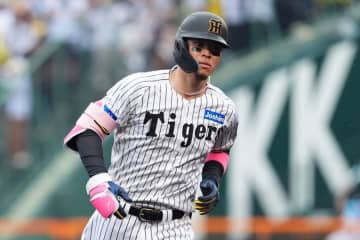 崖っぷち阪神に求められる打線の奮起　機能しない下位打線と“サトテル頼み”