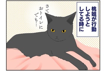 【マンガ・老猫日誌＃44】老猫が行動する時の心得！？19歳の元保護猫・桃姐