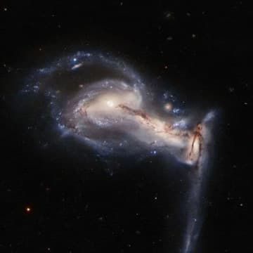 3つの銀河が引き合う特異な相互作用銀河「Arp 195」