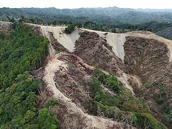 【速報】鴨川メガソーラー、未許可の森林で伐採　工事、一時停止に