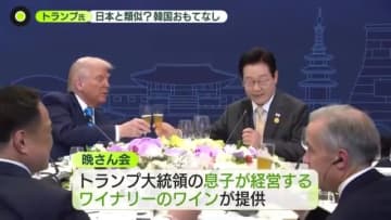 トランプ大統領への韓国流おもてなし、日本と類似？　アジア歴訪最後の訪問