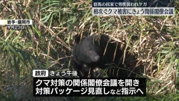 クマ被害深刻…関係閣僚会議で対応協議へ　きのうも群馬・沼田市で男性が襲われケガ