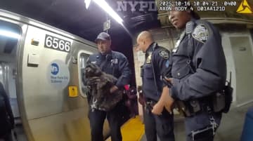 地下鉄の車両の下に迷い犬が…警察のボディカメラがとらえた救出劇に「無事でよかった」