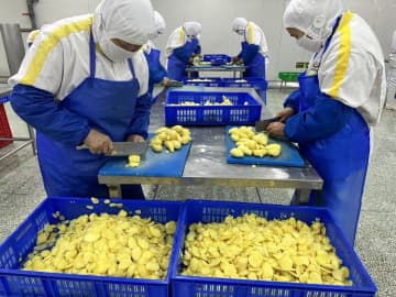 中国山東省、農産物の対日輸出が好調を維持　1～9月は2.2％増