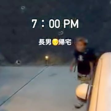 夜7時に男の子が帰宅→庭にいた『大型犬』が…想像を超える『激しいおかえりなさい』が20万再生「嬉しさマックス」「おかえり祭り」と反響