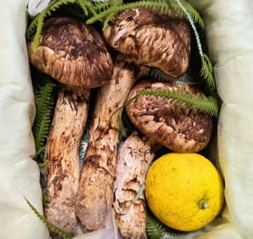 高橋英樹、松茸で作った“贅沢料理”を公開 「うらやましい」「めっちゃ豪華な夕食」などの声