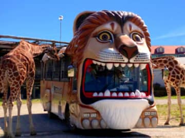 那須サファリパーク・那須ワールドモンキーパーク 栃木・茨城・群馬・埼玉県民 優待キャンペーンのお知らせ