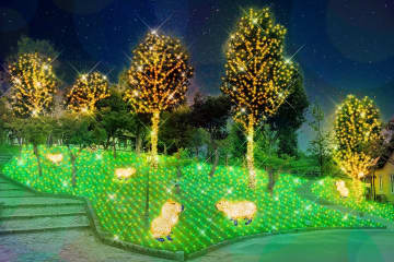 堺・ハーベストの丘で光の世界へ！大人も子どもも楽しめるイルミネーション開幕