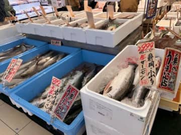 ご近所で天然魚クエスト！小田原は天然魚だらけ！種類も豊富！おさかな天国だ〜！（驚）