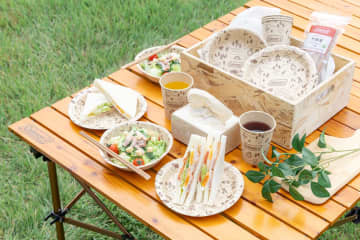 【キャンプがもっと楽しく】コールマン × 伊藤忠リーテイルリンクがコラボ！竹素材＆人気柄「キャンプマップ」採用の環境配慮型ペーパーテーブルウェアが登場！