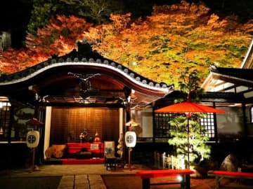 東海地方で人気の紅葉スポットランキング！ 2位は「下呂温泉」、1位は？【専門家のおすすめも】