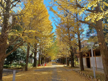 高雄と台東、そして金門へ