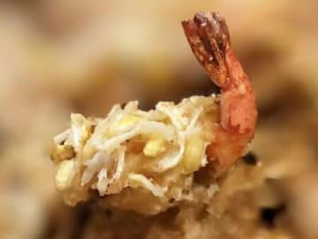 中華風！海老の天ぷら！豆もやし衣！中華風天ぷらに合うタレ！