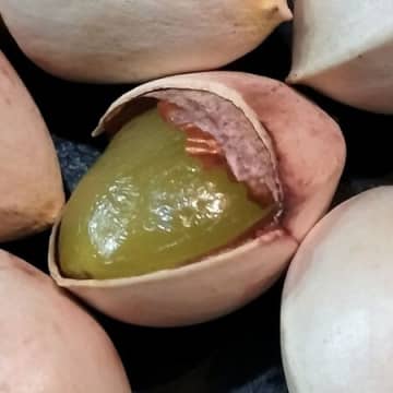 やみつき！ぷにぷに触感、もちもち食感！香ばしい翡翠色の炒り銀杏！