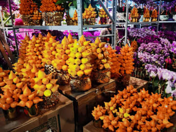 ビクトリア公園の花市屋台入札終了